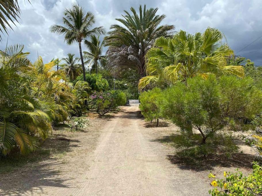 Villa Coco Des Sables Acces Direct Au Lagon La Saline Le Bains Luaran gambar